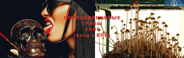 PSILOCYBIN Усмань