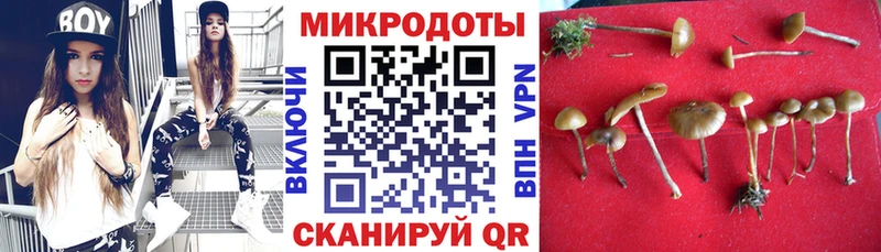 Купить  Полярные Зори  Псилоцибиновые грибы GOLDEN TEACHER 